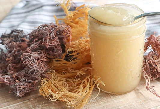 "MIRACLE OF THE SEA" SEA MOSS