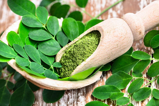 WHAT IS MORINGA?